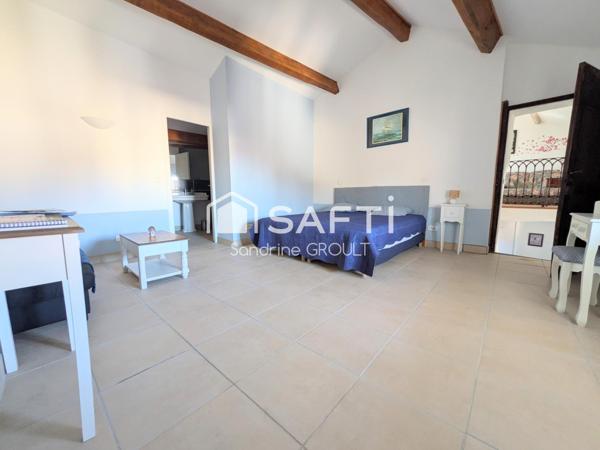 MAISON DE CHARME EN PIERRE AVEC JARDIN ARBORE et STATIONNEMENT