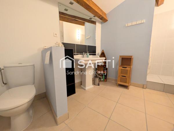 MAISON DE CHARME EN PIERRE AVEC JARDIN ARBORE et STATIONNEMENT