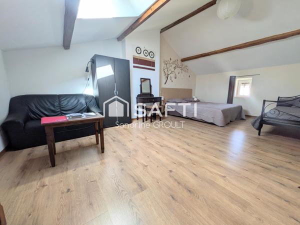 MAISON DE CHARME EN PIERRE AVEC JARDIN ARBORE et STATIONNEMENT