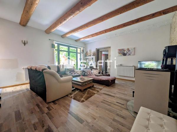 MAISON DE CHARME EN PIERRE AVEC JARDIN ARBORE et STATIONNEMENT