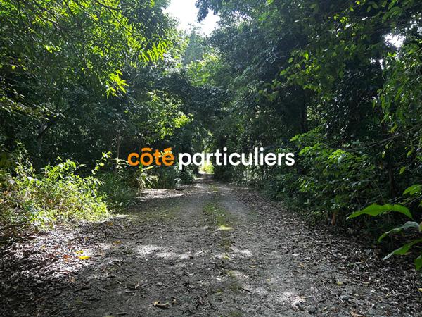 Vente Terrain3391 m² - SAINTE ROSE (97115)