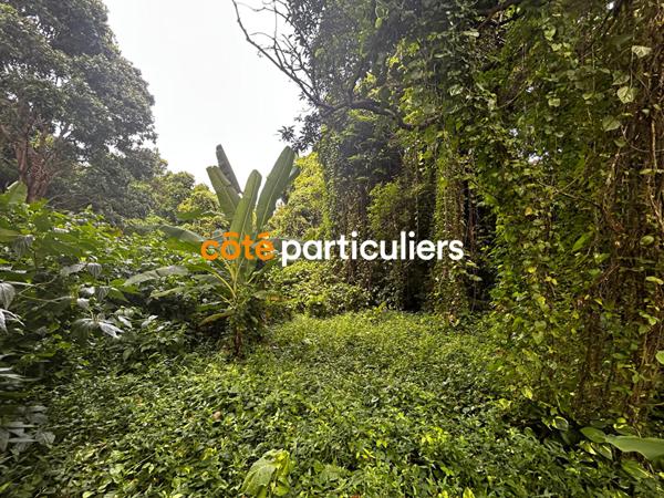 Vente Terrain3391 m² - SAINTE ROSE (97115)