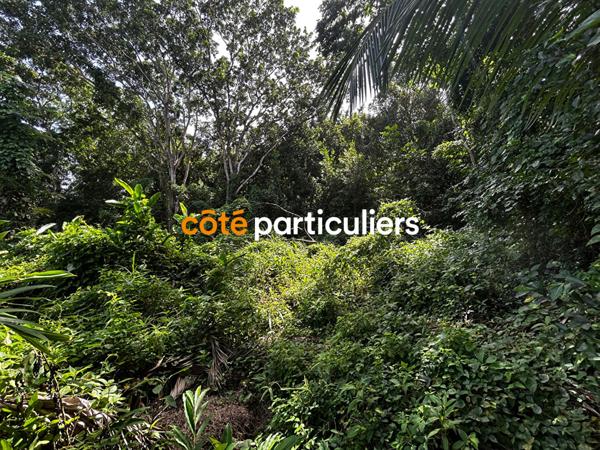 Vente Terrain3391 m² - SAINTE ROSE (97115)