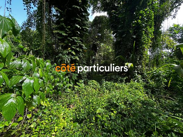 Vente Terrain3391 m² - SAINTE ROSE (97115)