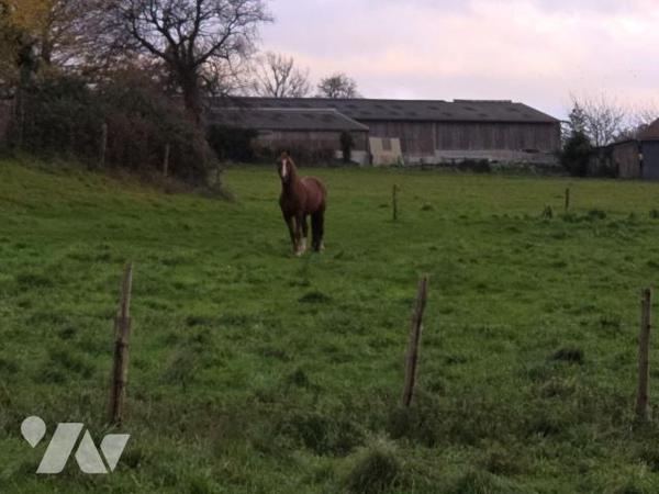 10 min. VILLAINES-LA-JUHEL (53), en sortie de bourg, ensemble immobilier composé :

a) D'une ...