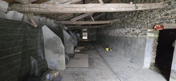 Maison à CHAVAGNES-EN-PAILLERS, 85250 - 4 pièces 300m²