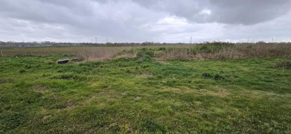 Maison à CHAVAGNES-EN-PAILLERS, 85250 - 4 pièces 300m²
