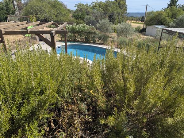 Villa de plain pied moderne, piscine et grand jardin