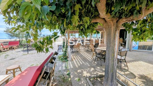 A vendre : Fonds de commerce Restaurant - Bar- Crêperie - Glacier - Salon de thé - Bar à vin