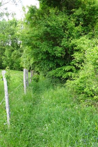 Terrain à vendre de 625,00 m² Proche de COURTEMAUX (45)