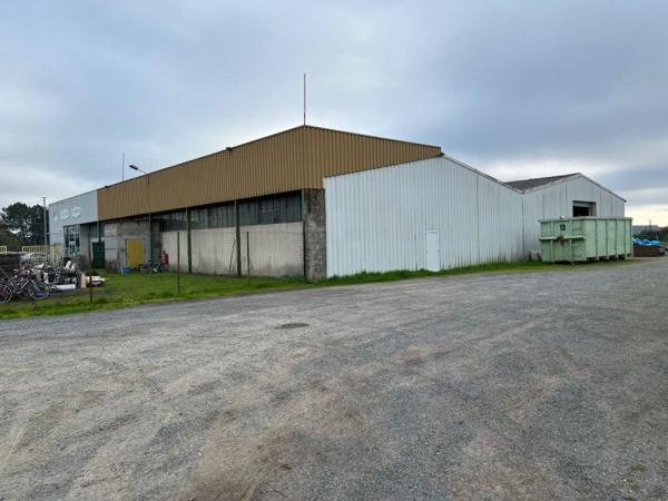 Vente murs / Local activité