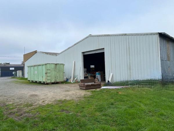 Vente murs / Local activité