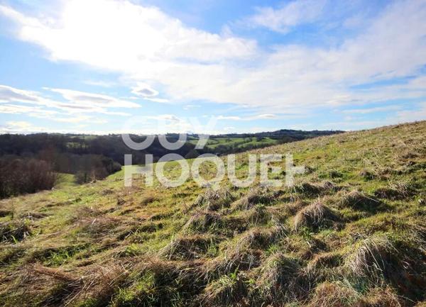 Terrain à vendre à Ozenx Montestrucq