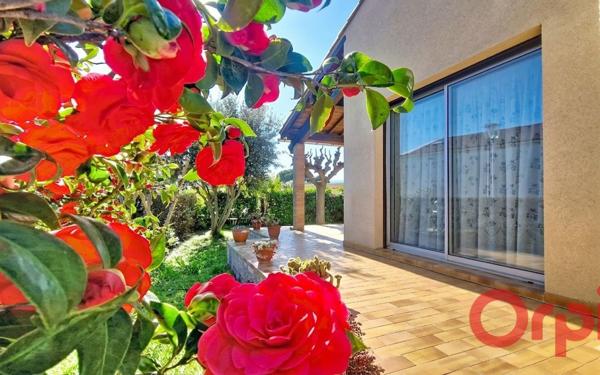 Maison à vendre    4 pièces • 118,62 m2 Ille-sur-Têt