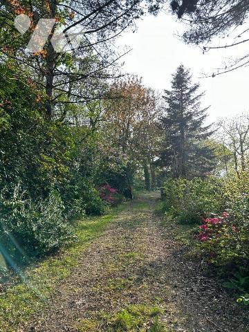 NOUVEAUTE TRENTE CINQ NOTAIRES !! SAINT BRIAC SUR MER, dans un cadre bucolique, arboré et calme...