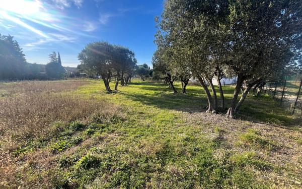 Terrain à vendre    Uzès