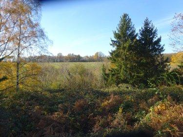 Terrain de loisirs à vendre à Soizé dans l'Eure-et-Loir (28330), ref : SOI 938