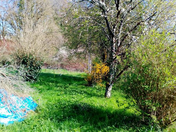 Terrain constructible près de Jonzac