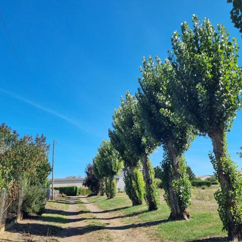 Propriété sur 7 655 m²