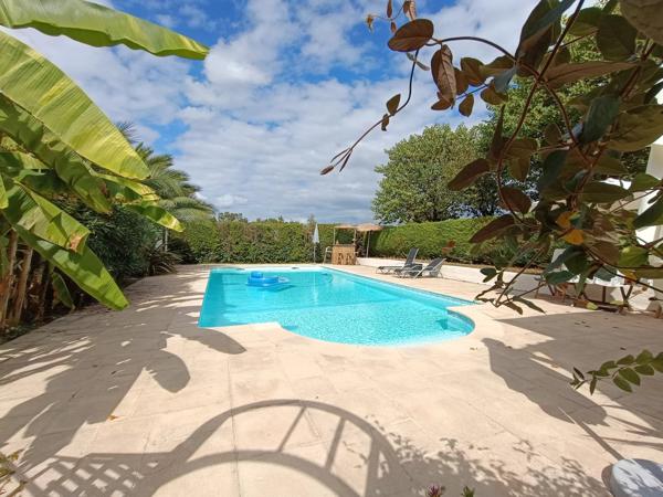 Charmante maison avec piscine et maison d'amis, proche Maillezais