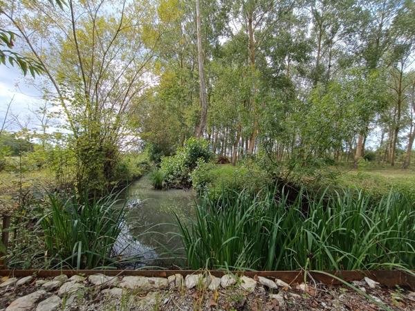 Charmante maison avec piscine et maison d'amis, proche Maillezais