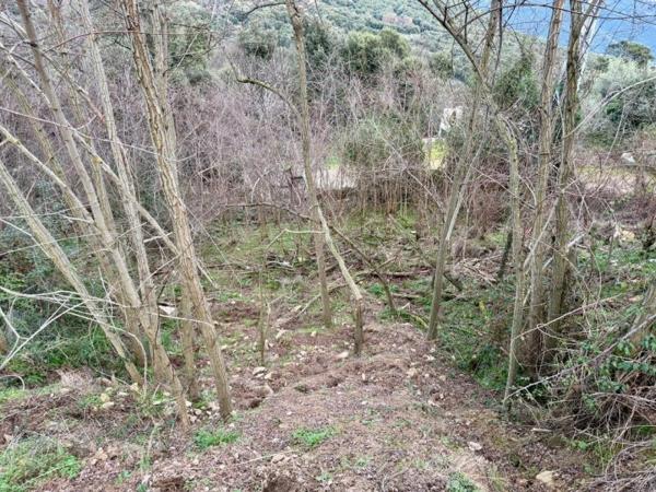 Vente / Terrain constructible