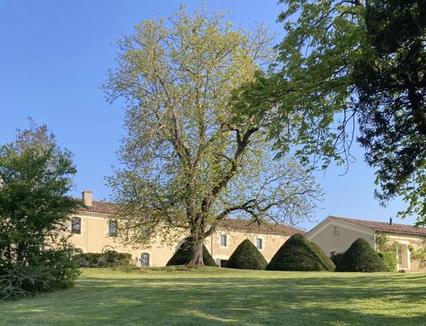 Domaine Gascon de Charme avec Chambres d'Hôtes et Gîtes au Cœur de 14 Hectares de Nature Préservée