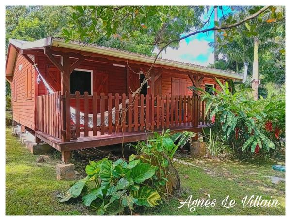 Maison en bois sur Terrain Arboré