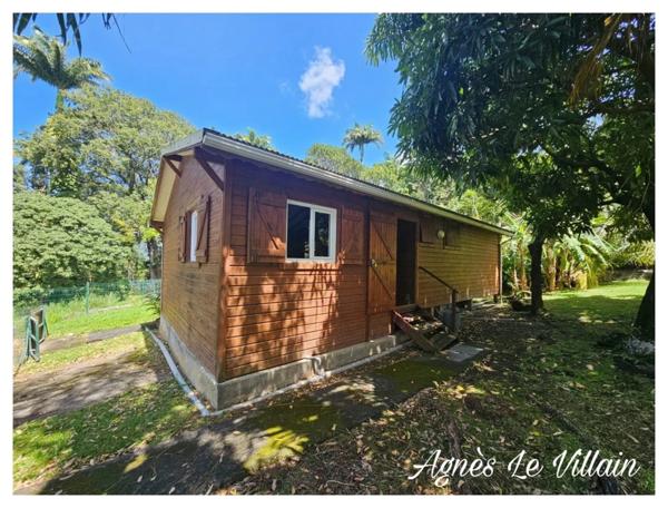 Maison en bois sur Terrain Arboré