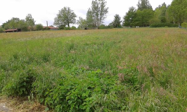 Terrain à LES BORDES