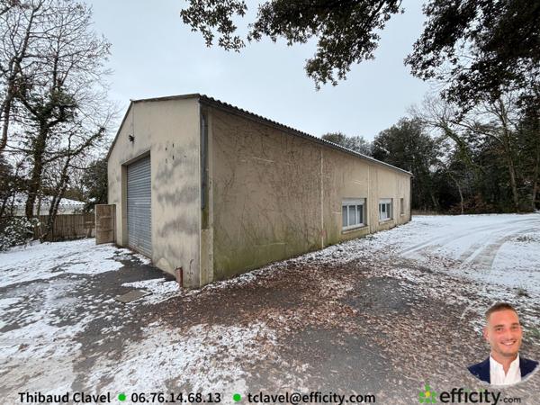 Local Commercial 2 pièces - 217 m²