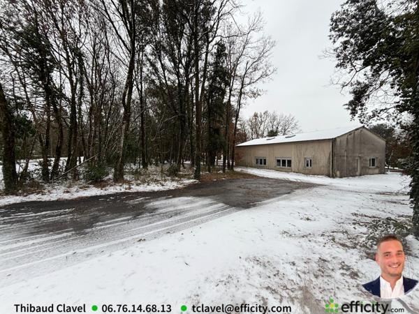 Local Commercial 2 pièces - 217 m²