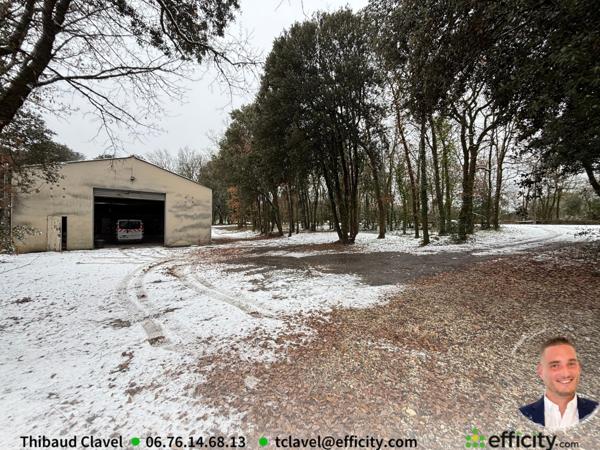 Local Commercial 2 pièces - 217 m²