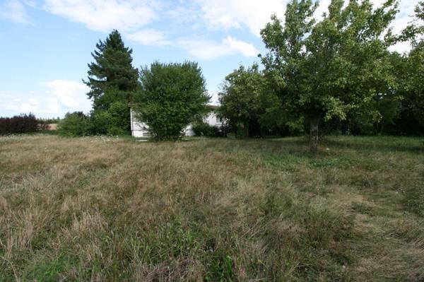 Maison sur grand terrain