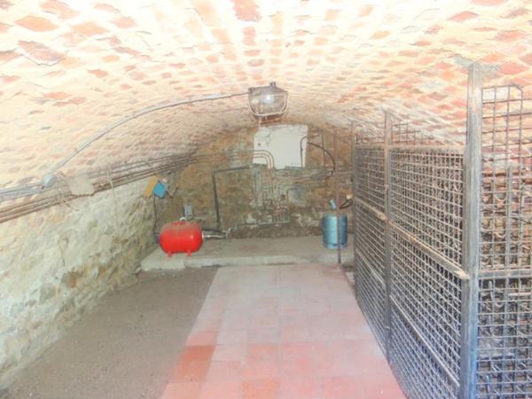 Dpt Allier (03), à vendre CHAMBLET maison 6 pièces , grenier aménageable , garage , cave ,sur 3090 m2 de terrain clos