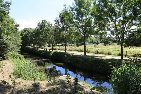 Superbe 7 pièces de 117 m² avec 5 chambres