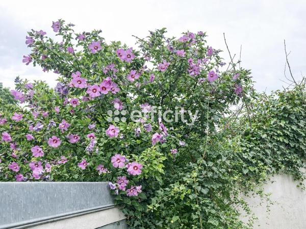 Maison 7 pièces - 220 m²