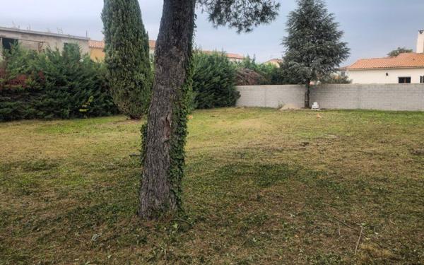 Terrain à vendre    Beaucaire