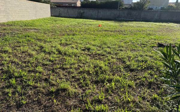 Terrain à vendre    Beaucaire