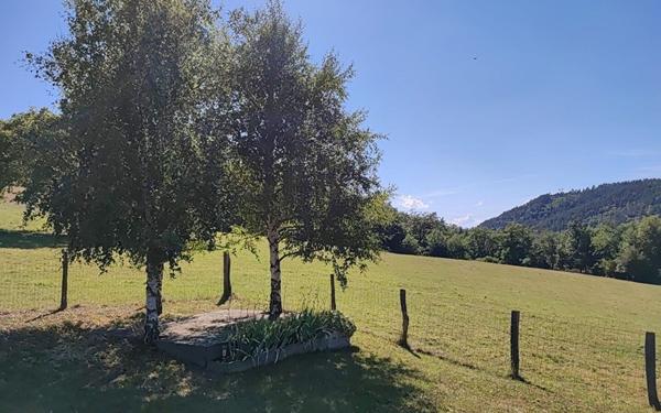 Maison à louer    4 pièces •  Saint-Étienne