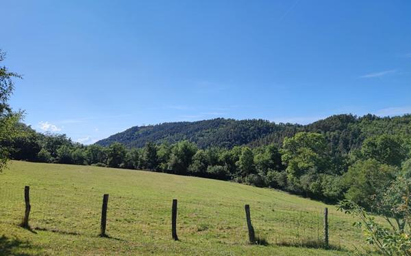 Maison à louer    4 pièces •  Saint-Étienne