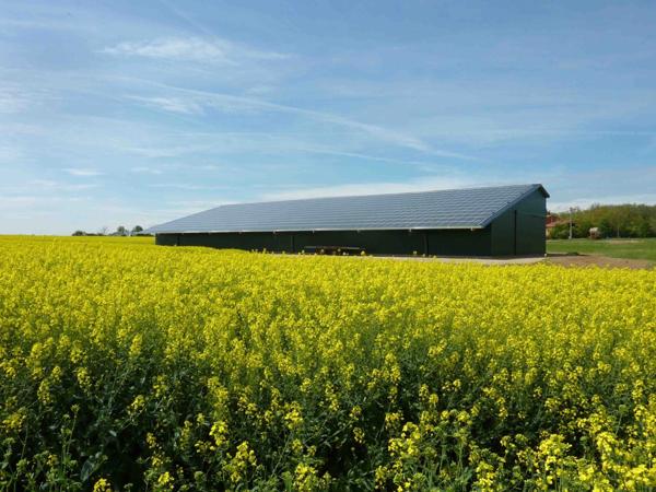 HANGAR DE STOCKAGE DE 1200 M² À LOUER À SEGREVILLE (31460) AVEC DEUX DOUBLE PORTES, ACCÈS POIDS LOURDS ET SOL ULTRA-RÉSISTANT