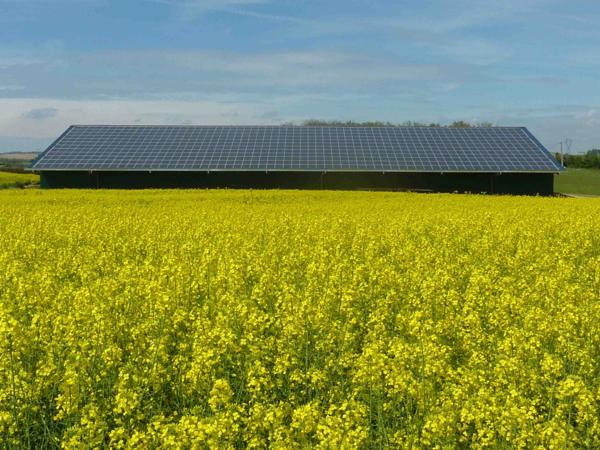 HANGAR DE STOCKAGE DE 1200 M² À LOUER À SEGREVILLE (31460) AVEC DEUX DOUBLE PORTES, ACCÈS POIDS LOURDS ET SOL ULTRA-RÉSISTANT
