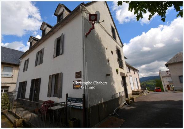 Vente / Maison en pierre