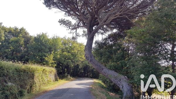 Terrain à vendre 84 715 m² Faugères