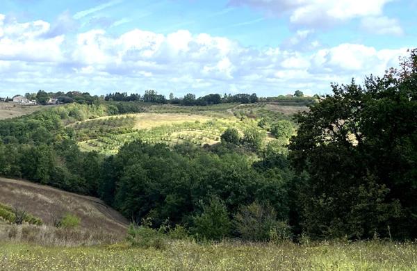 Terrain de 1420 m² avec vue dégagée, environnement naturel, à Piquecos proche de Montauban