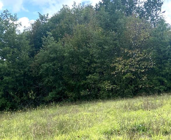 Terrain de 1420 m² avec vue dégagée, environnement naturel, à Piquecos proche de Montauban