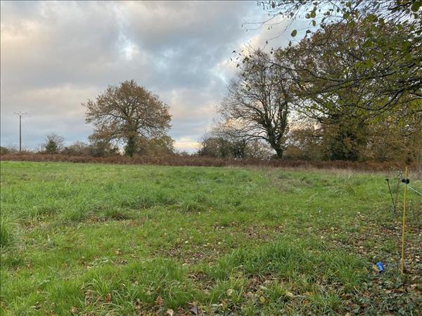 Terrain à vendre |  Saint-Junien |  9440 m²