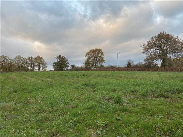 Terrain à vendre |  Saint-Junien |  9440 m²