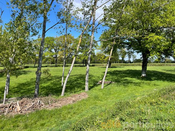 Vente
                Terrain32765 m² - vesdun (18360)